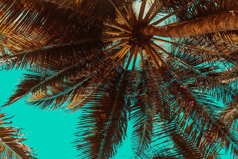 Tropical Beaches